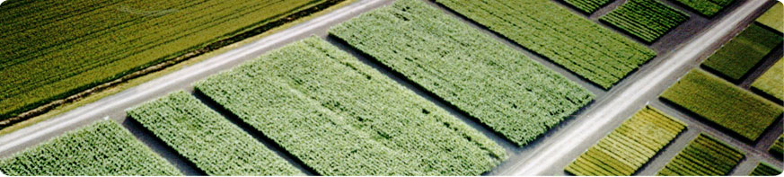 main banner image of a Nevico field 